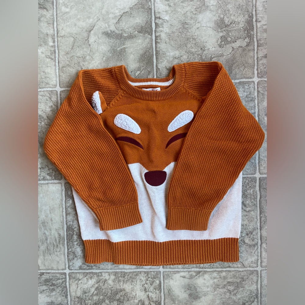 Boys Fox Sweater